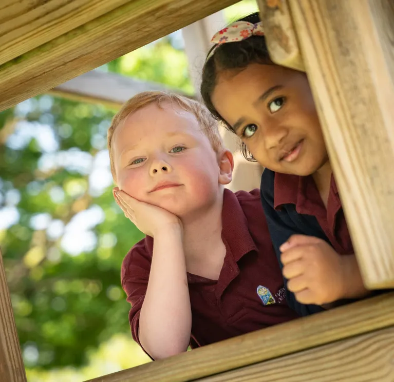 Education image